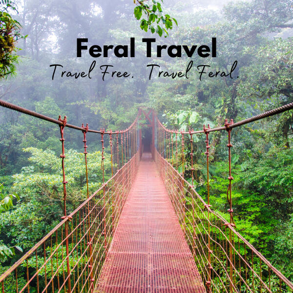 Costa Rica Image Costa Rica research guide by Feral Travel